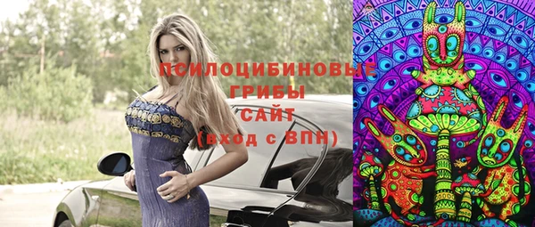сатива Алзамай