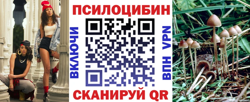 Купить закладки  Ворсма  Псилоцибиновые грибы Cubensis 
